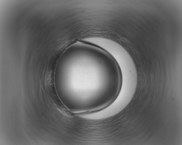 X0000081290560200701181812