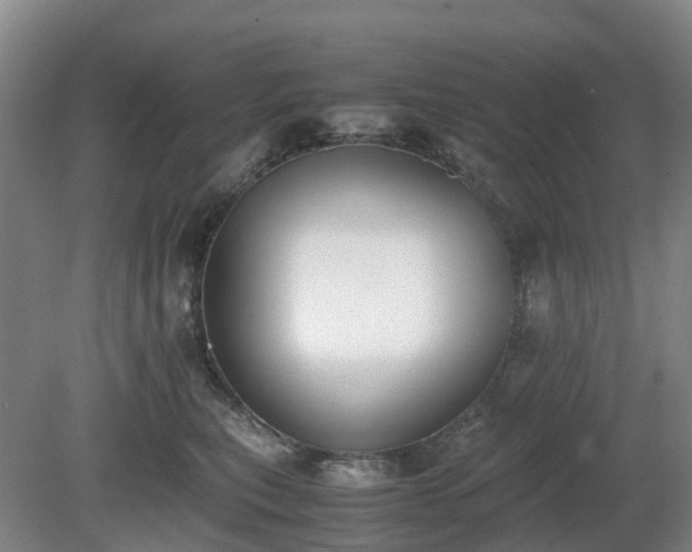X0000081290567200701181812