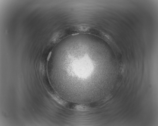 X0000081290568200701181812