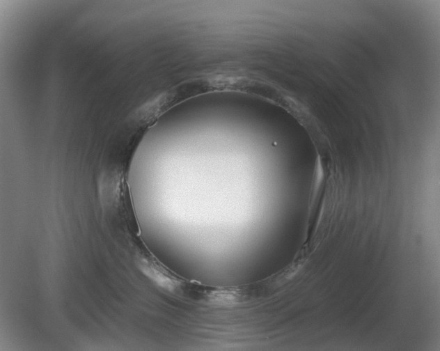 X0000081290574200701181812