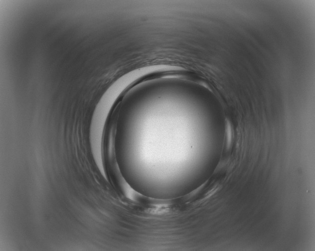 X0000081290575200701181812