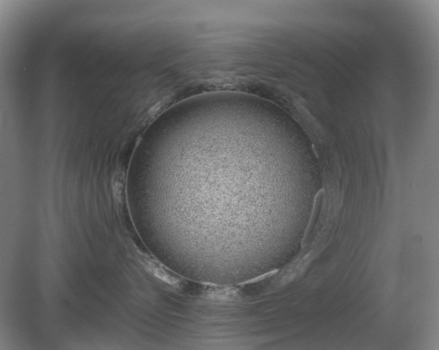 X0000081290576200701181812