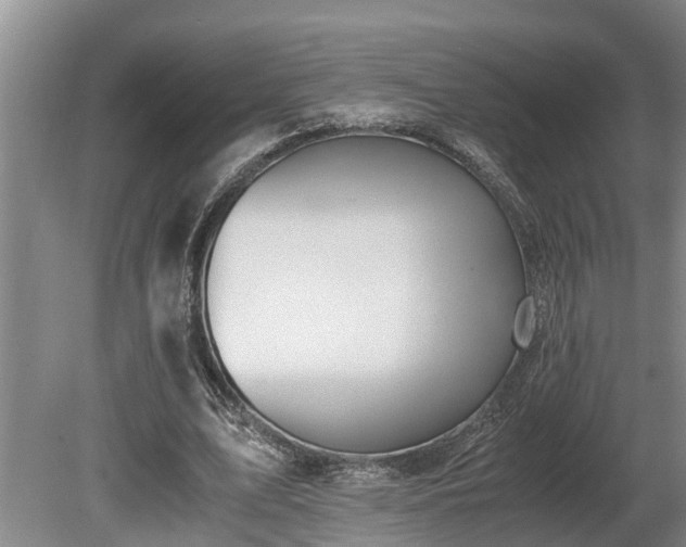 X0000081290583200701181811