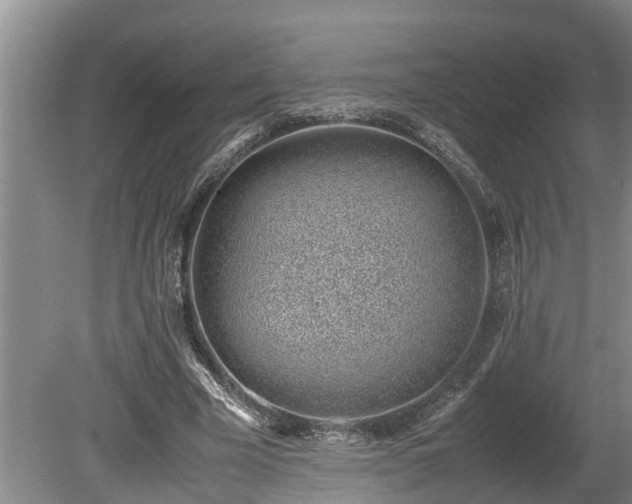 X0000081290585200701181811