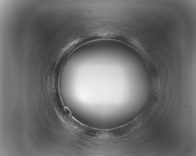 X0000081290587200701181811