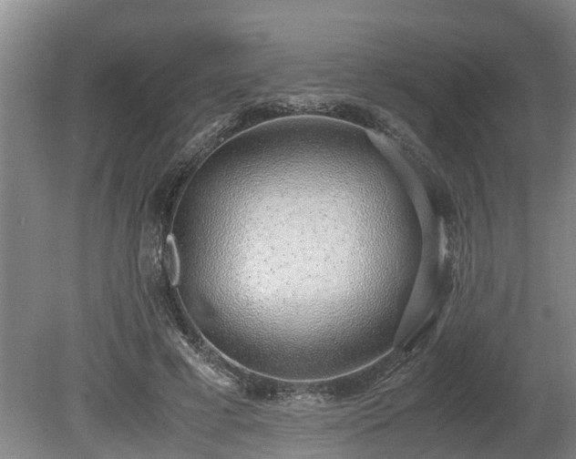 X0000081290593200701181811