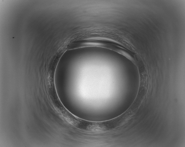 X0000081290597200701181811
