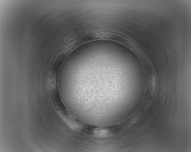 X0000081290602200701181811