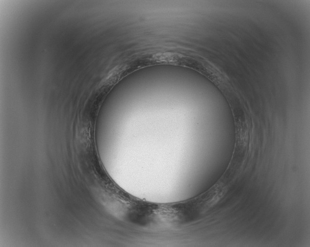 X0000081290603200701181811