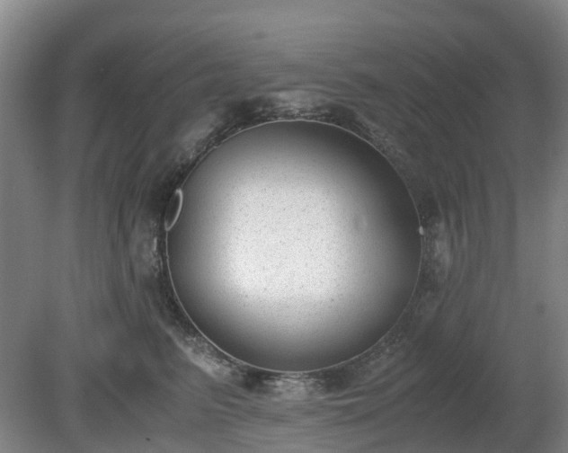 X0000081290615200701181811
