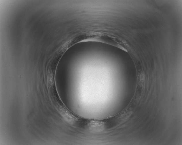 X0000081290617200701181811