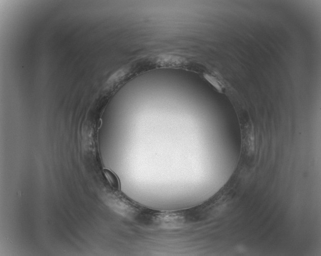 X0000081290619200701181811