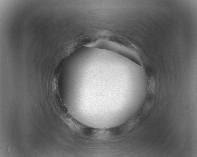 X0000081290621200701181811
