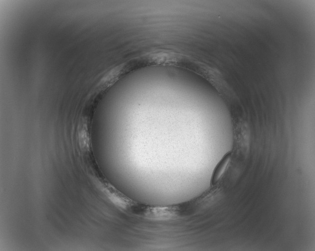 X0000081290622200701181811