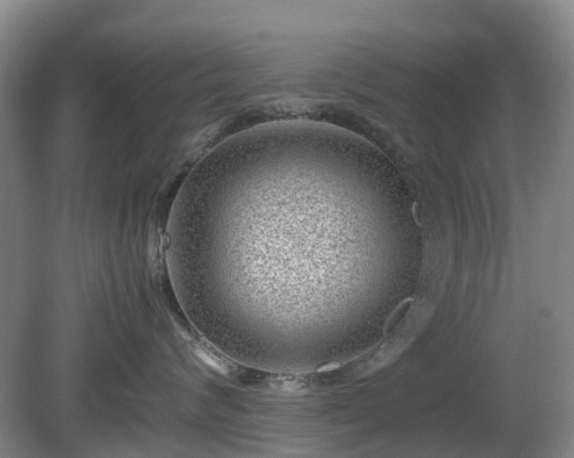X0000081290624200701181811