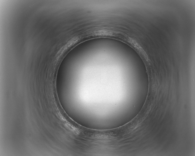 X0000081290625200701181810