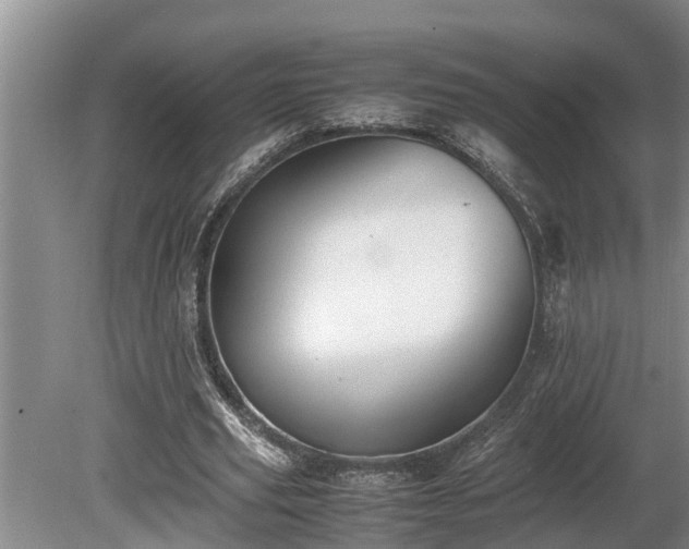 X0000081290629200701181810