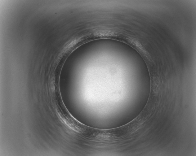 X0000081290631200701181810