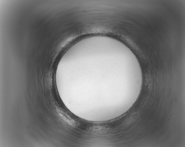 X0000081290632200701181810