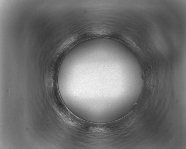 X0000081290635200701181810
