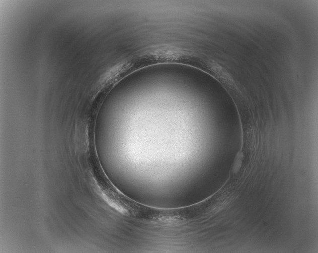 X0000081290638200701181810
