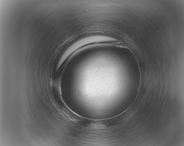 X0000081290644200701181810