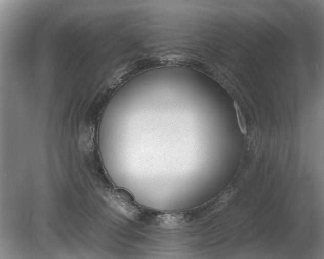 X0000081290660200701181810