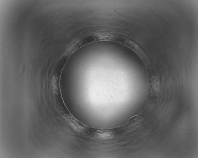 X0000081290667200701181810