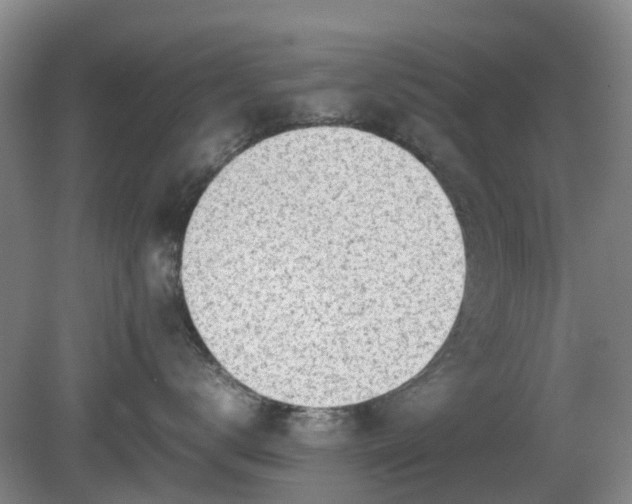 X0000081290672200701181811