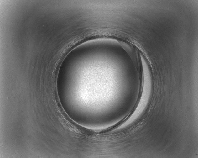 X0000081290673200701181810