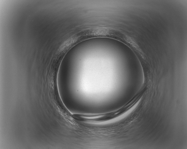 X0000081290681200701181810