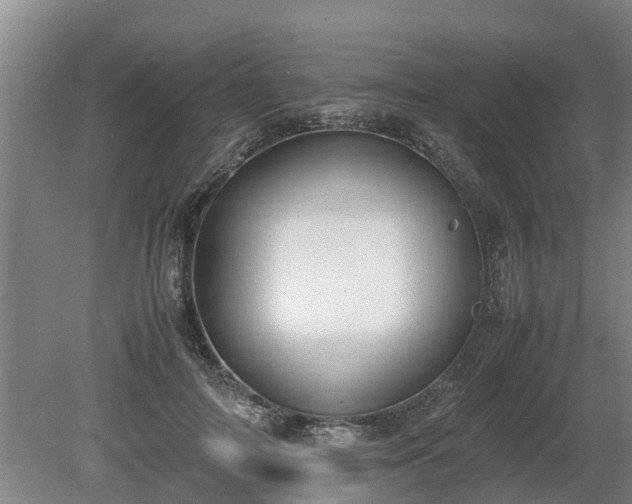 X0000081290698200701181809
