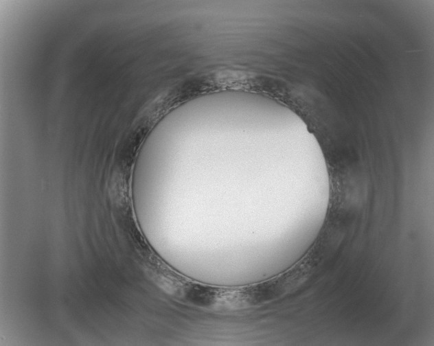 X0000081290705200701181809