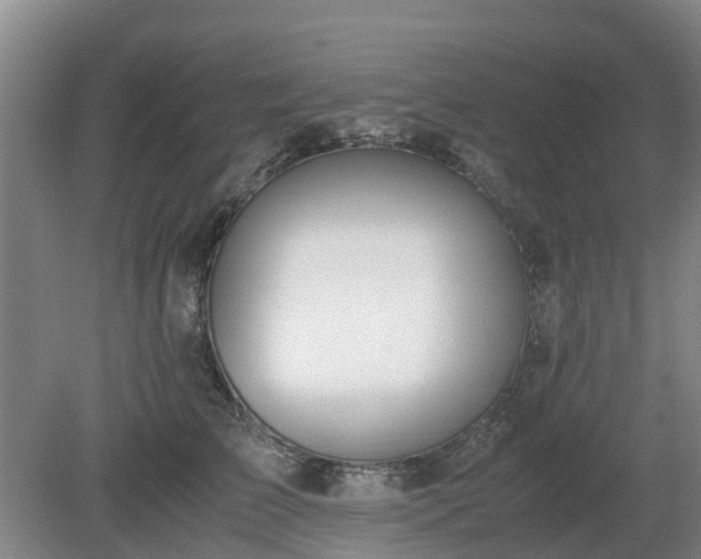 X0000081290709200701181809