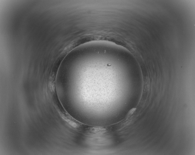 X0000081290719200701181809