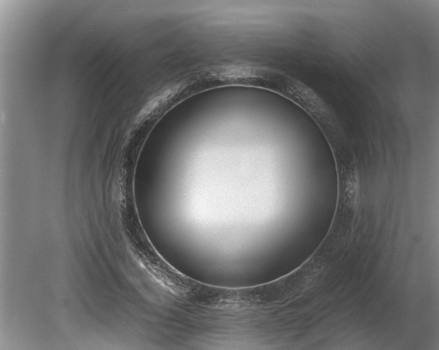 X0000081290732200701181808