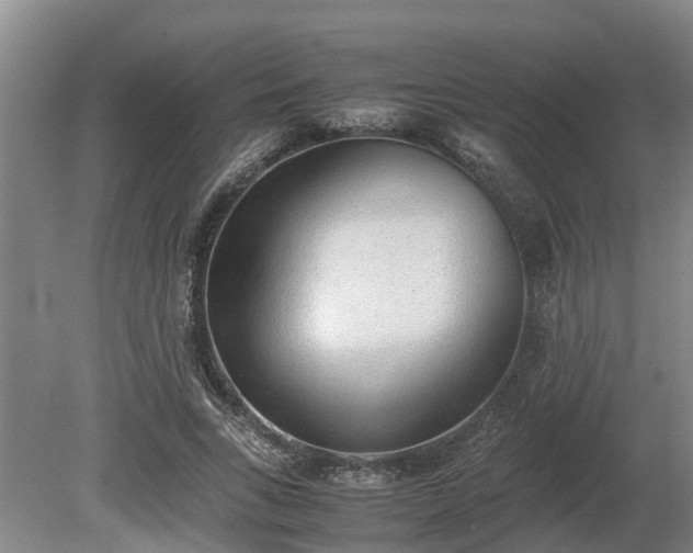 X0000081290735200701181808