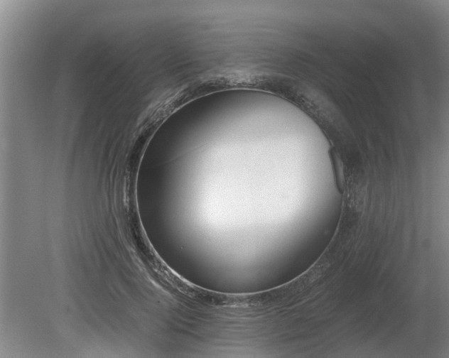 X0000081290740200701181808