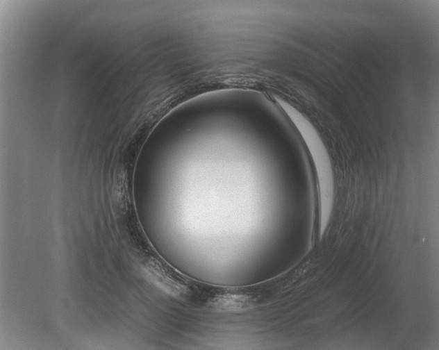 X0000081290748200701181809