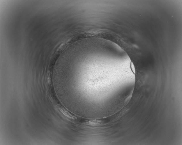 X0000081290758200701181809