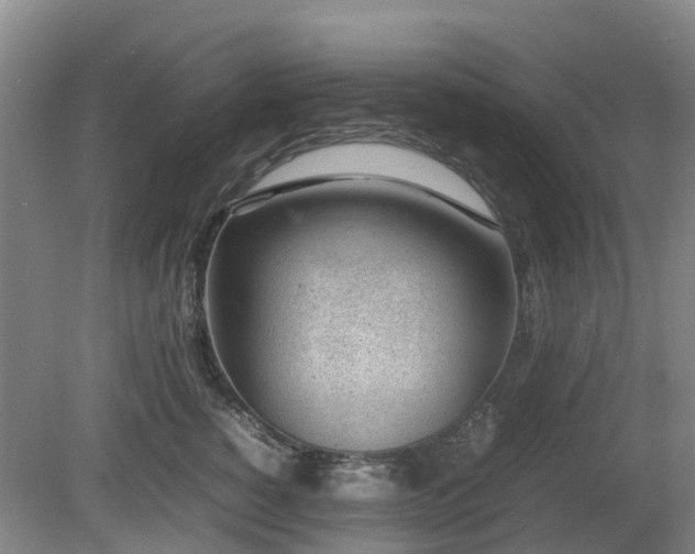 X0000081290760200701181809