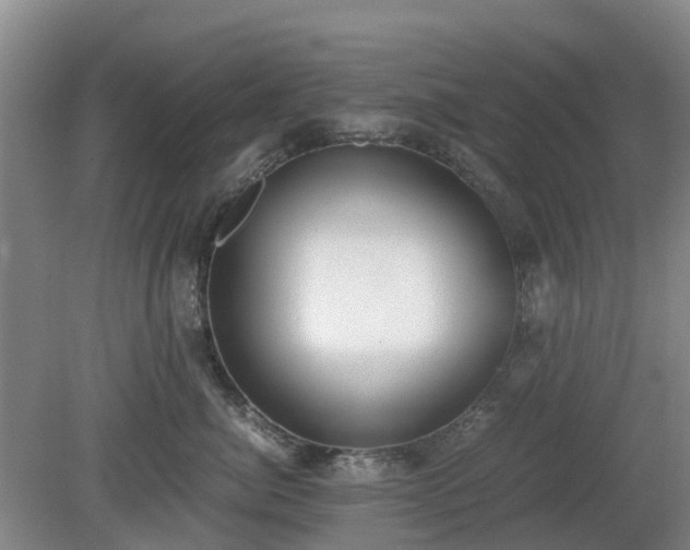 X0000081290764200701181809