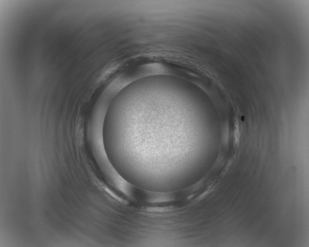 X0000081290766200701181809