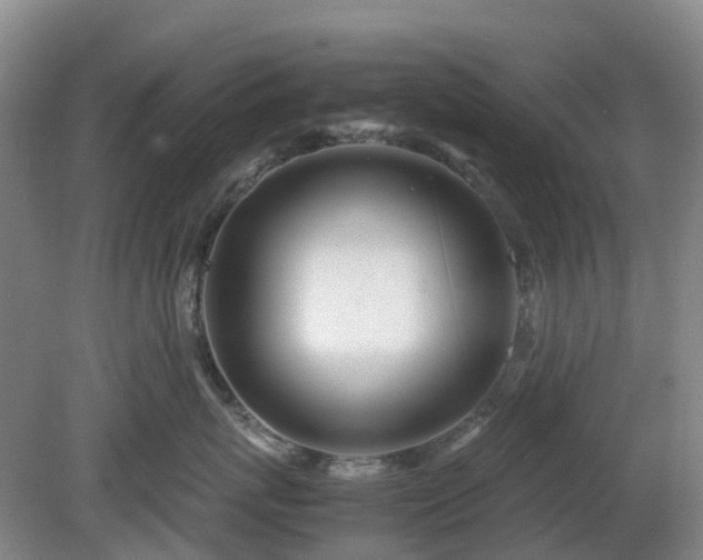 X0000081290767200701181809