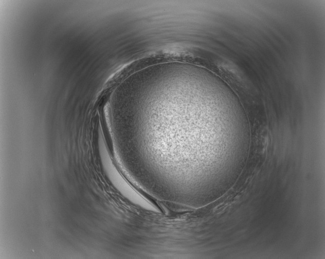 X0000081290776200701181808
