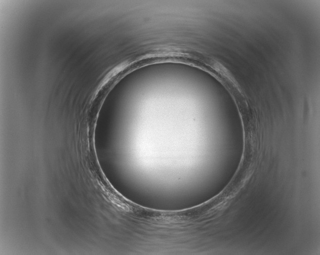 X0000081290781200701181808