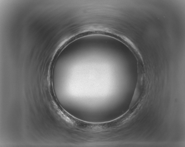 X0000081290791200701181808