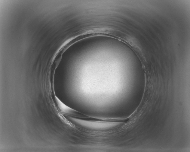 X0000081290792200701181808