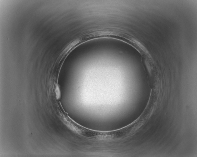 X0000081290793200701181808