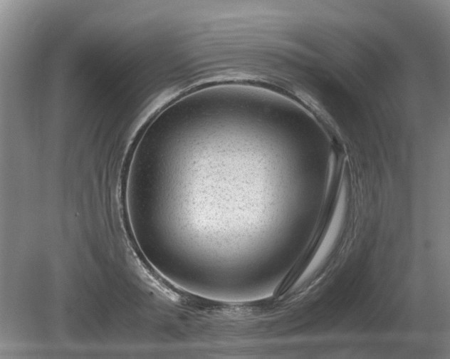 X0000081290797200701181808